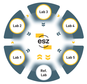 esz AG Ringvergleich